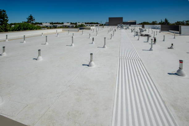 Best Roof Coating and Sealing  in Kenly, NC